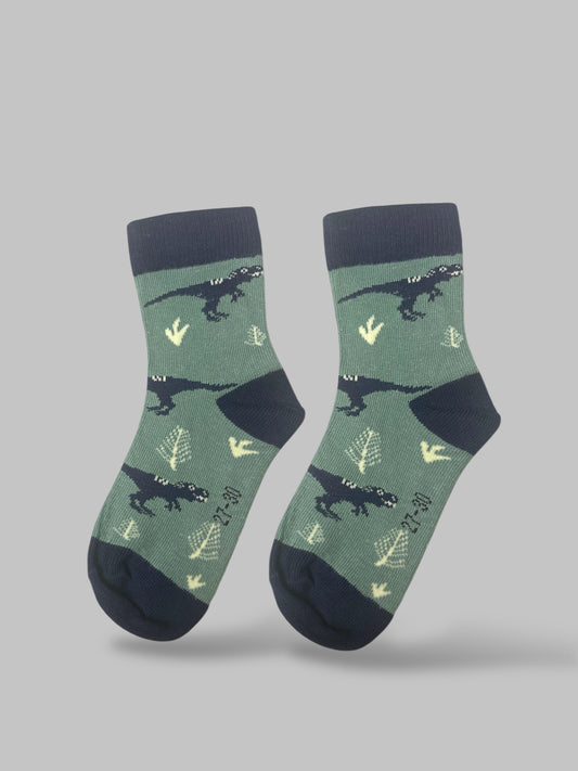 Dino socks