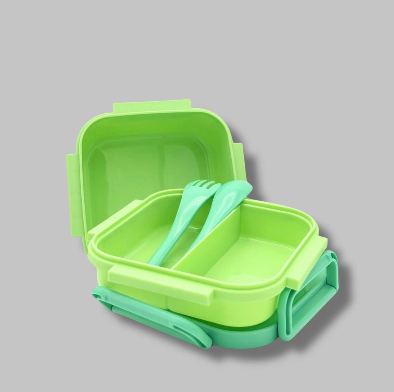 Dino lunch box